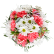 Effortlessly capturing Leyton's cheerful, welcoming spirit, this bouquet combines airy white daisies with radiant coral-pink carnations, artfully arranged by a local E10 florist. The white daisies radiate with crisp green centers, while each carnation's soft, ruffled petals impart a lively texture and consistent warmth. Dotted between the larger flowers, delicate white baby's breath floats like morning mist over Coronation Gardens, adding a hint of softness and gentle motion to the round, balanced bouquet. Flecks of blush and purple alstroemeria buds peek through beneath the lush surface, evoking both refinement and hope. The arrangement's greenery-featuring matte eucalyptus and rich dark leaves-offers a soothing backdrop, their cool hues and fresh scent recalling breezes through local parks. Perfect for birthdays, jubilees, or impromptu moments of kindness, this bouquet delivers joy and authentic Leyton artistry with every bloom, promising to transform ordinary days into moments of quiet celebration.